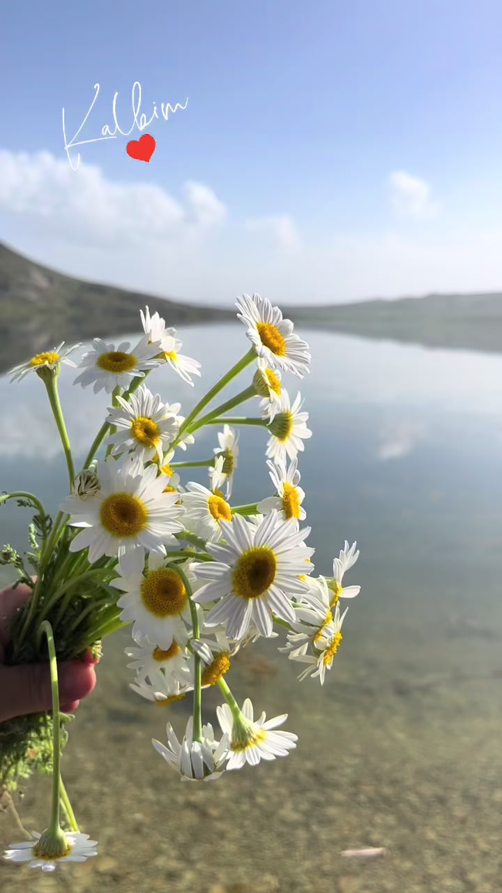 @gül4250🌹