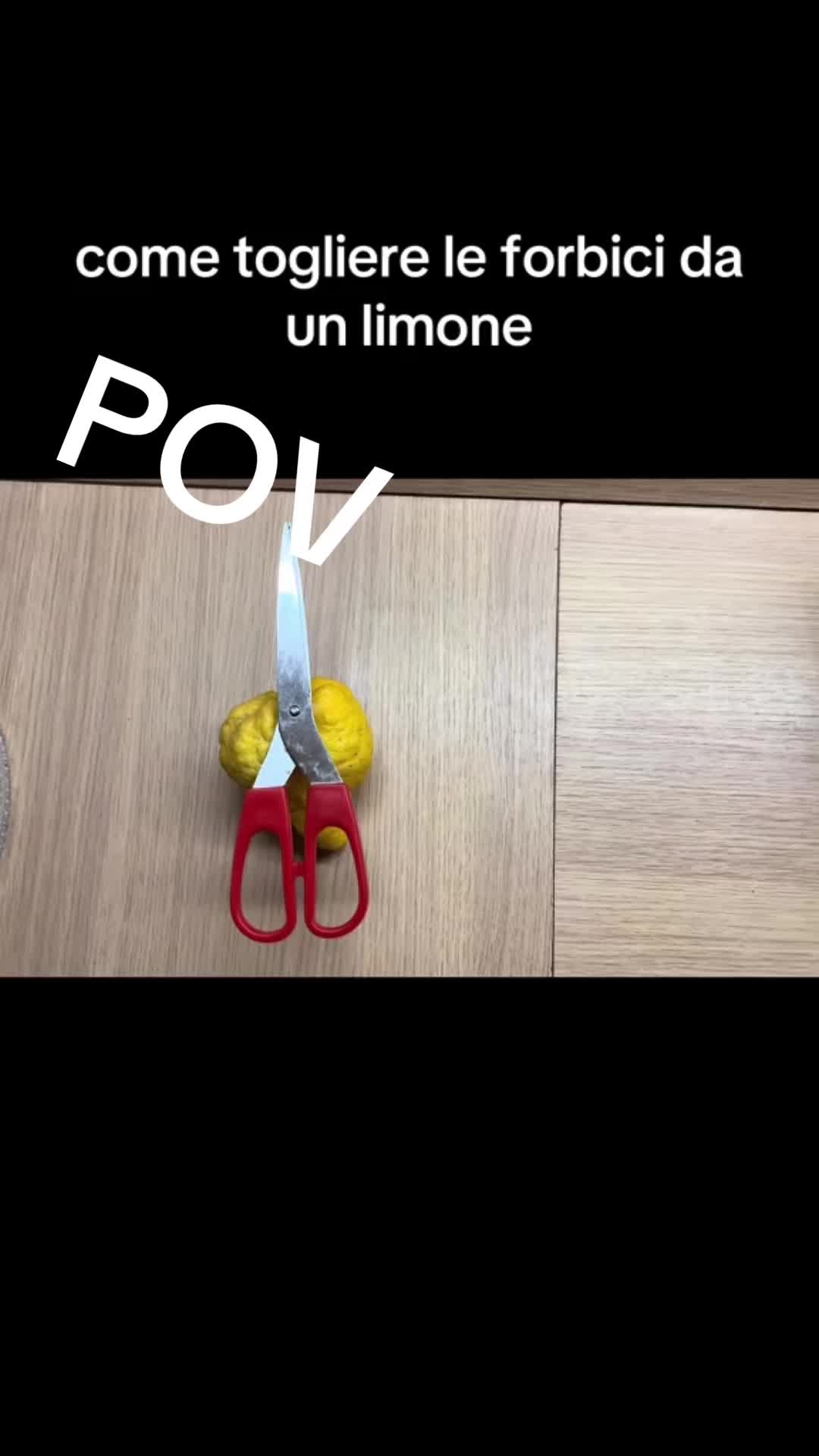 @PTC21