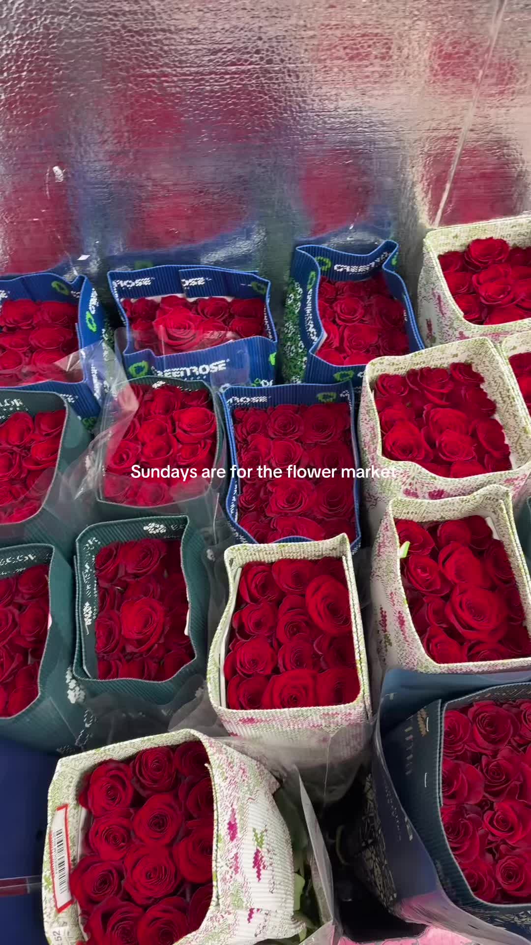@_marvella___