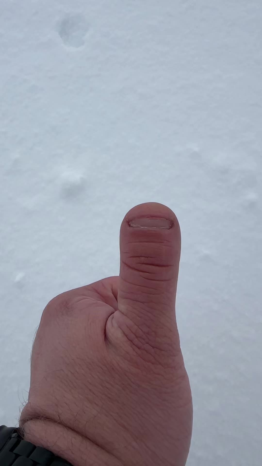 @Thumb on Tour