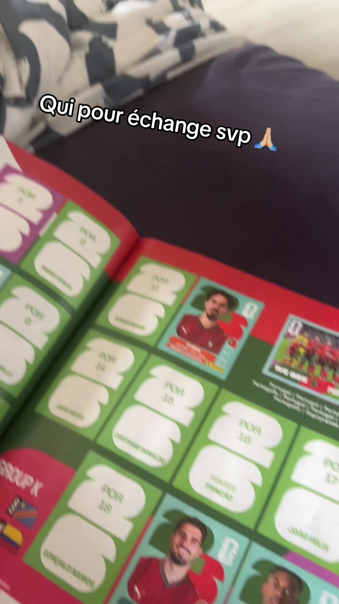 @Ninøn 🐊