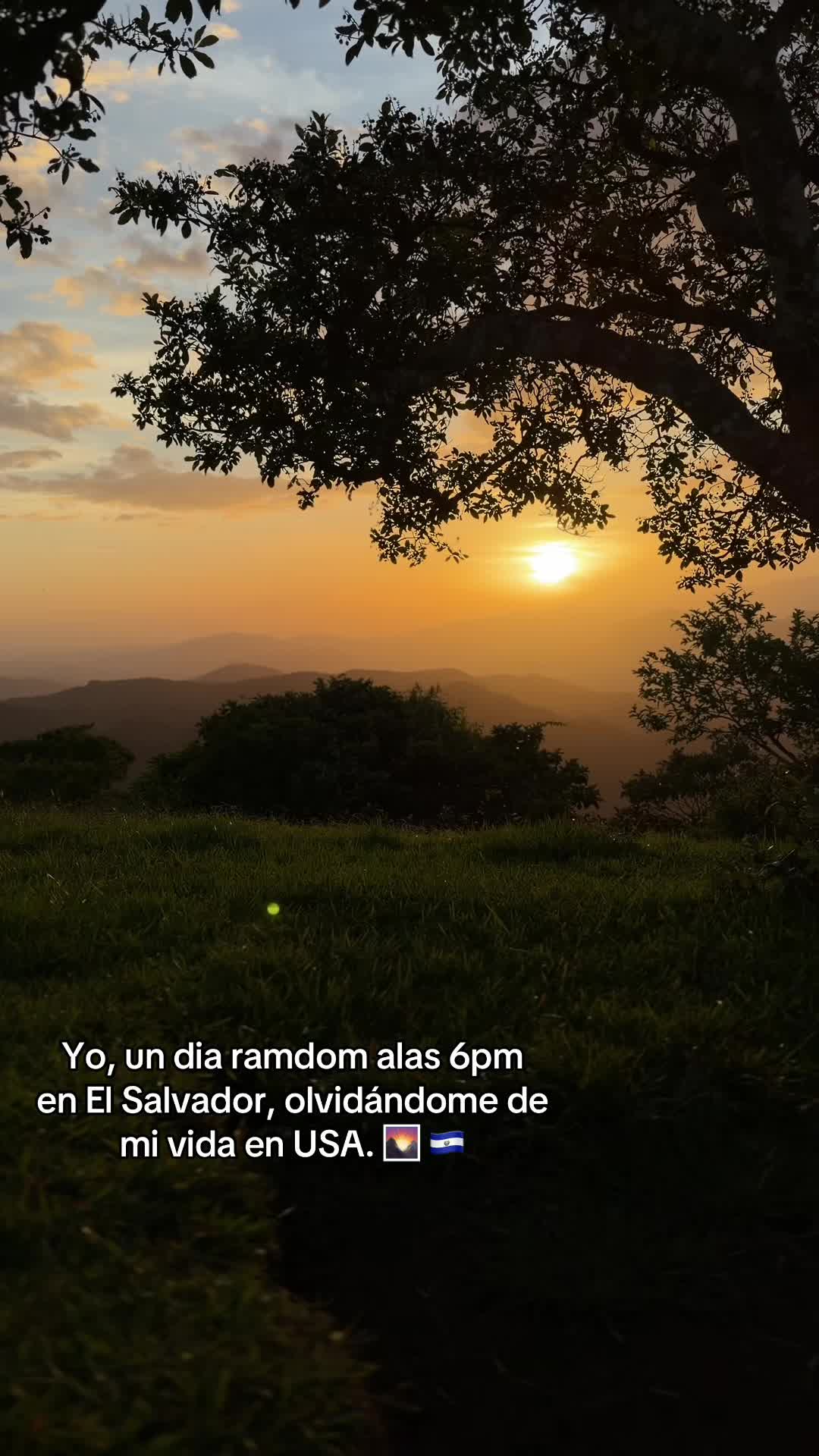 @Geisel . S