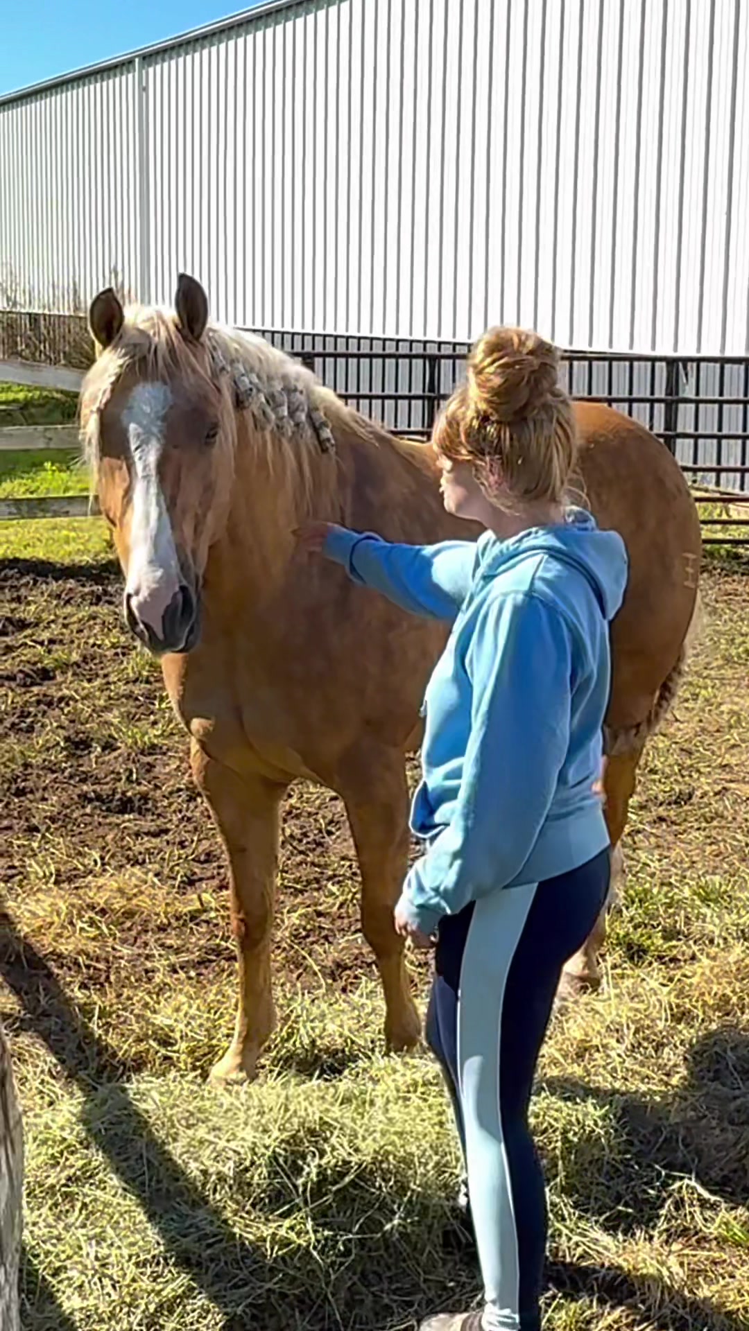 @Free Spirit Equestrian