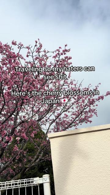 @Lee リー Shinazugawa 💕🌸💫⭐️