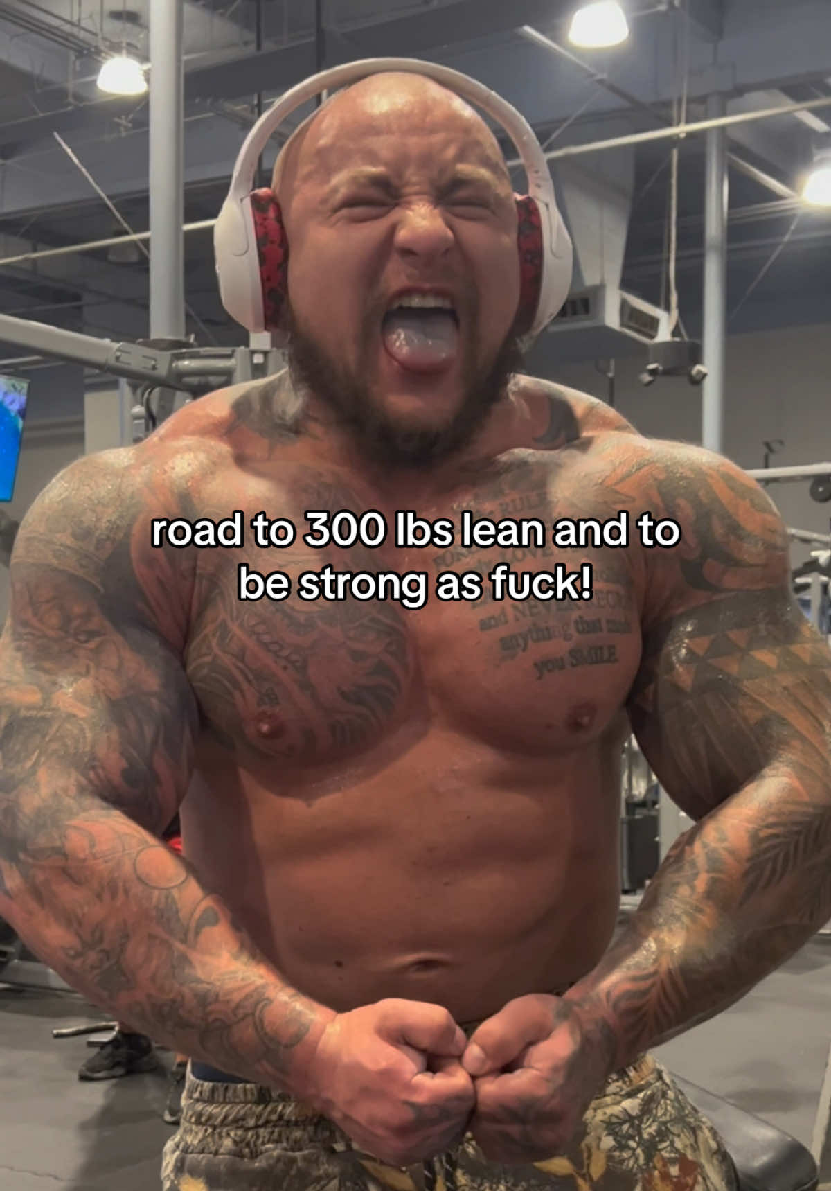 @GORILLA QUINN 🦍🇺🇸