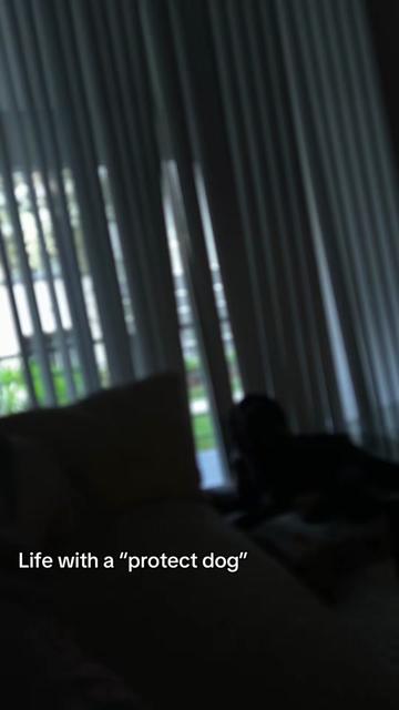 @caffeinheadache