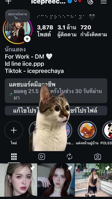 @🧊ICE🧊