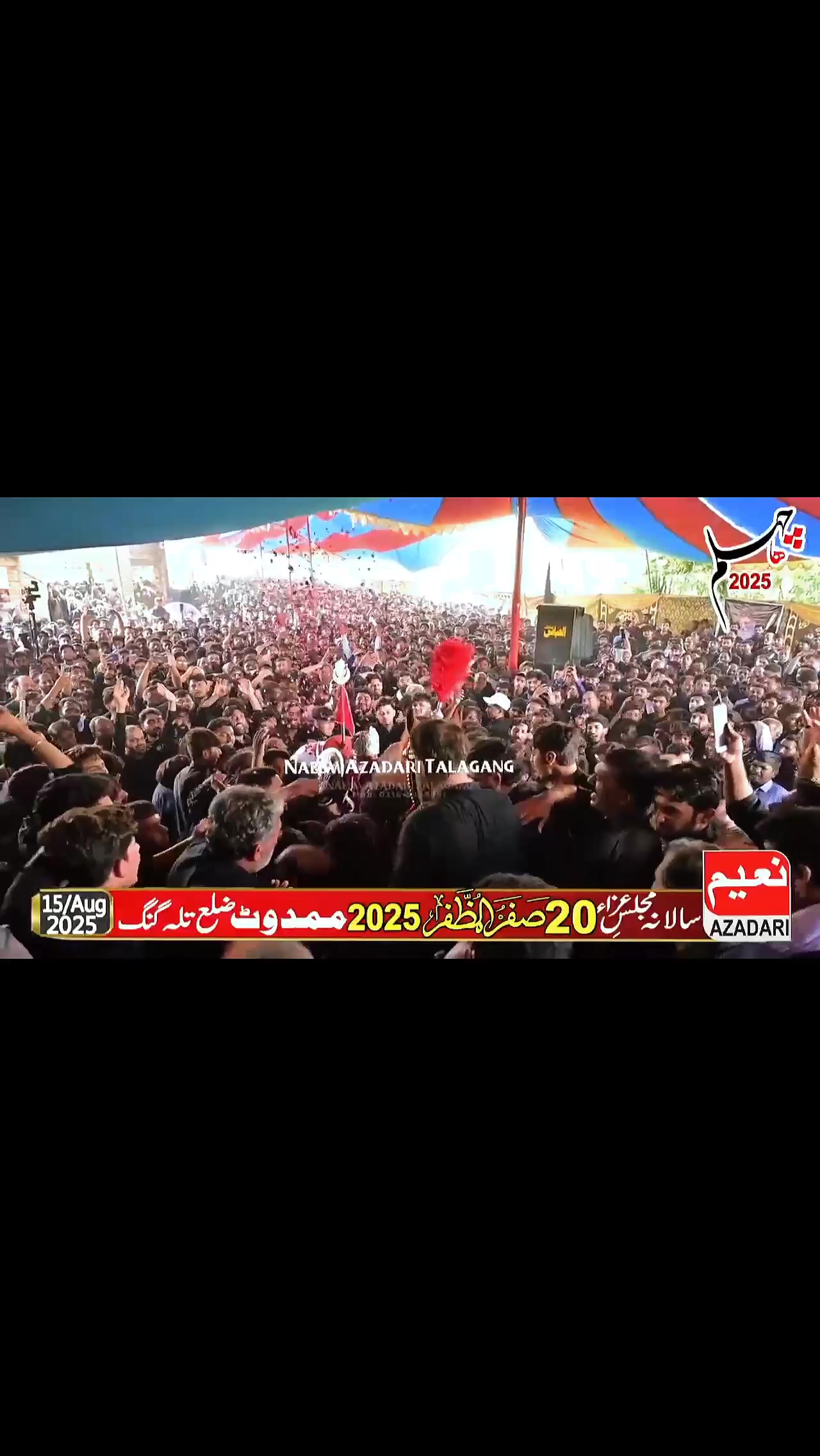 @مرکزی ذوالجناح تلہ گنگ