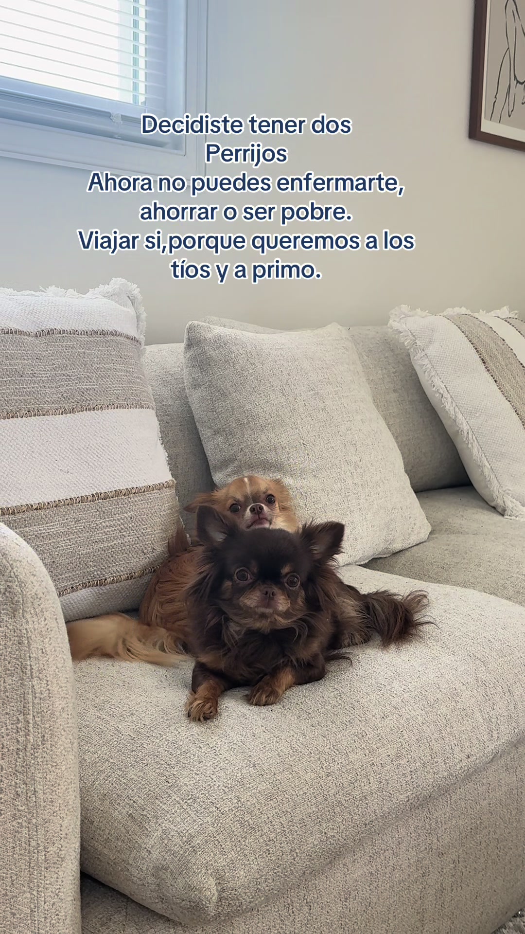 @V Romero Ortega