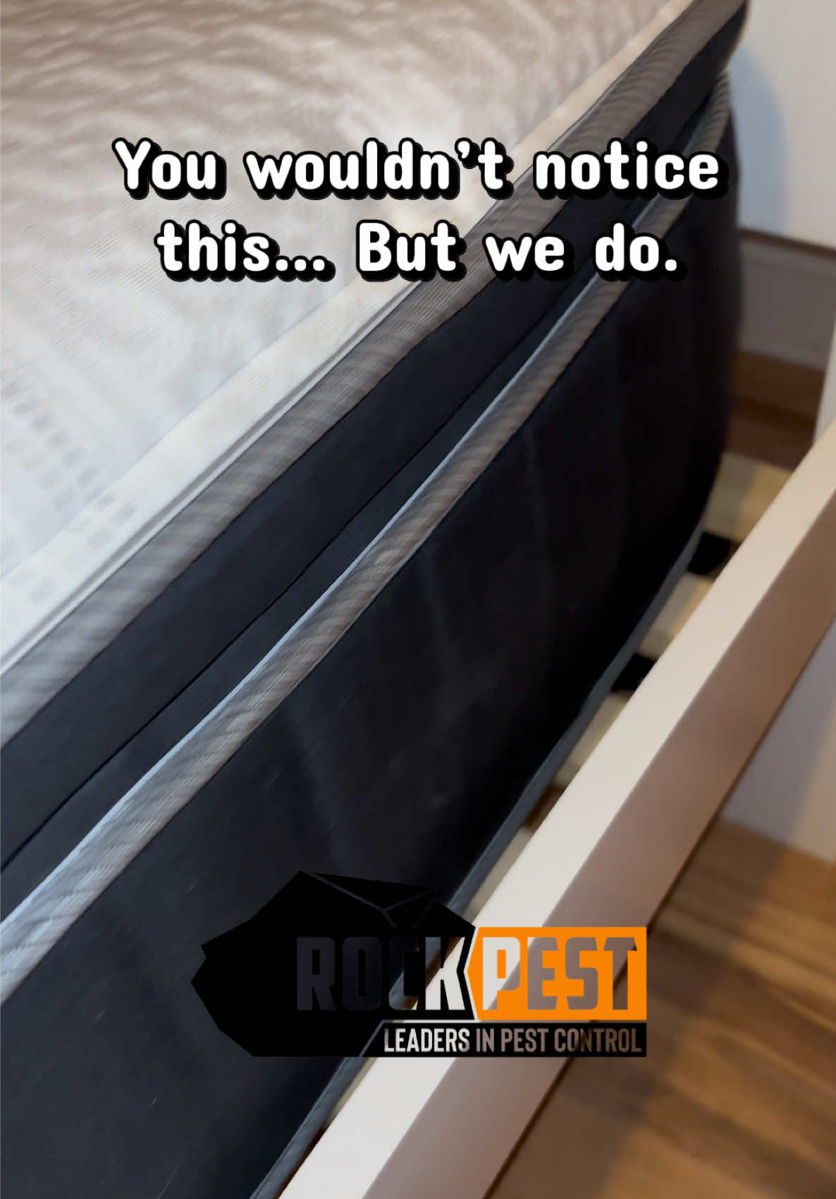 @Rock Pest Control