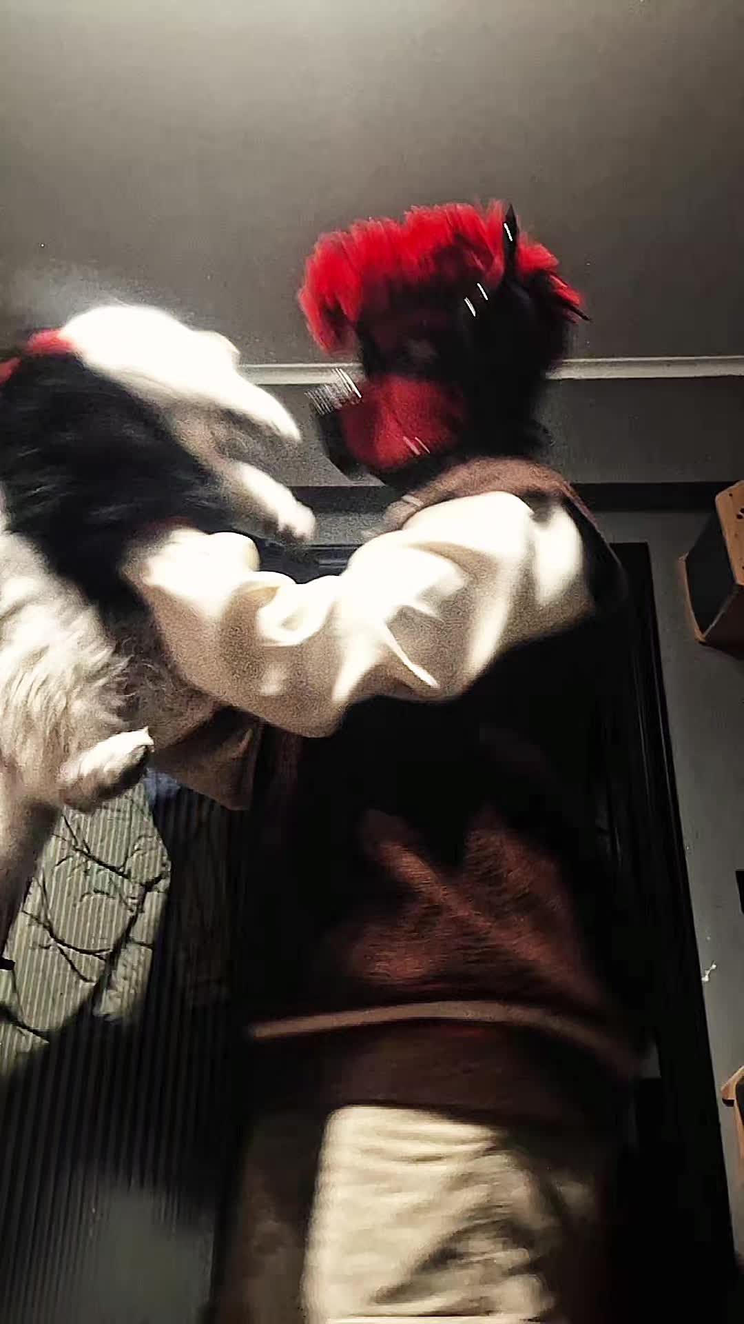@Logan_pup