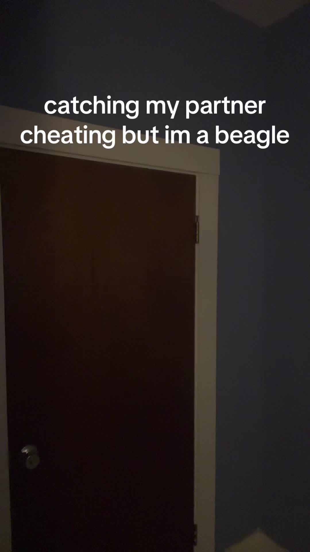 @burntrye