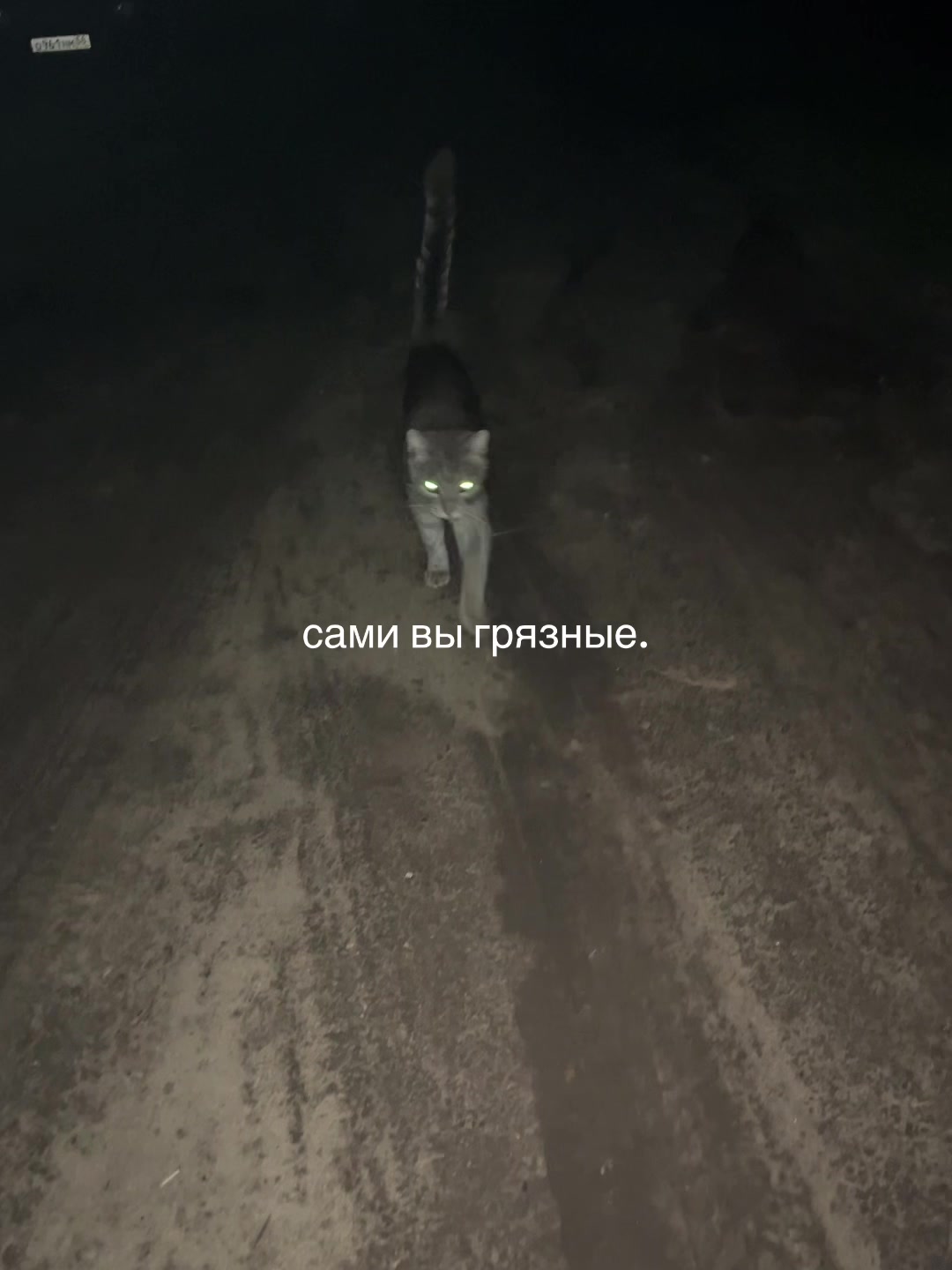 @тгк: 𝑆𝑙𝑎𝑑𝑘𝑖ℎ