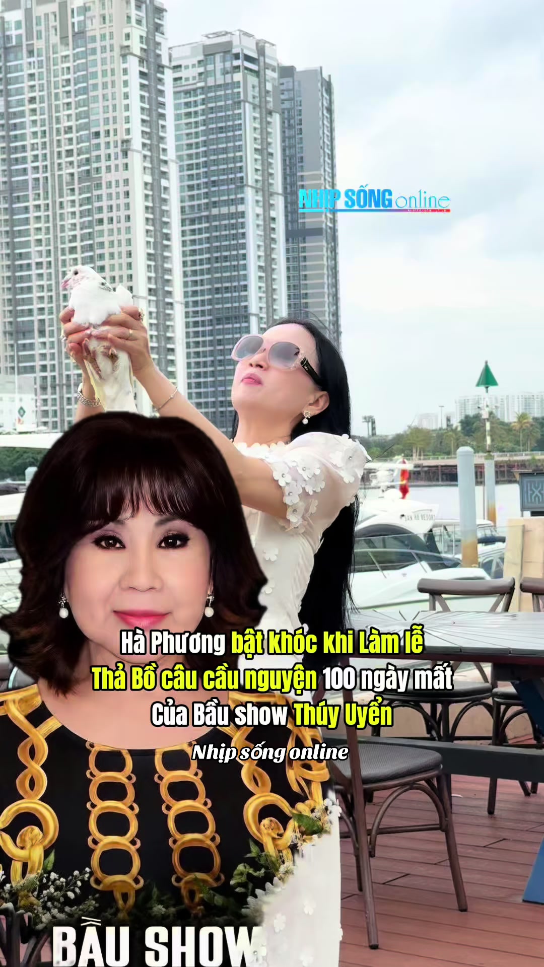 @Nhịp Sống Online