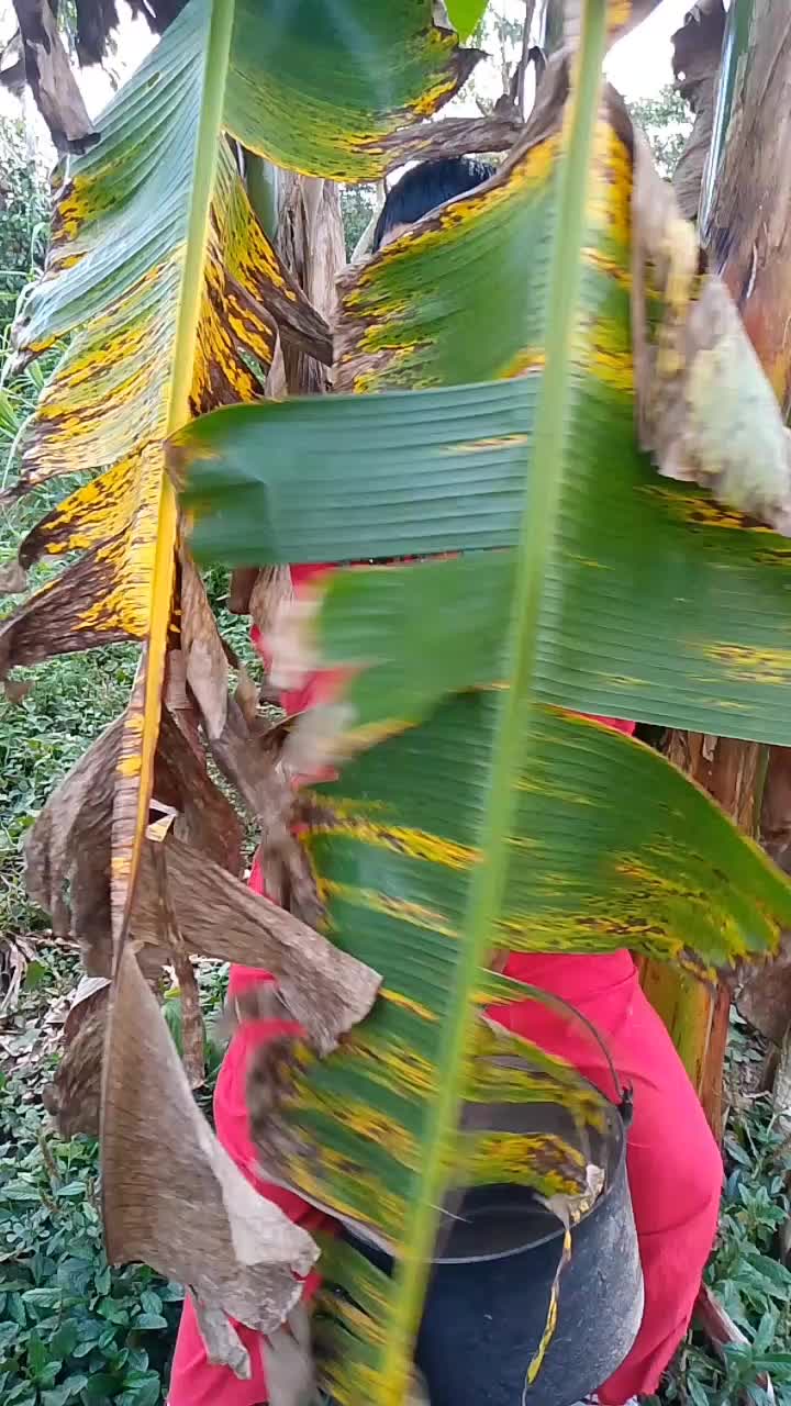 @anuel aa del temu👿😎👹🇪🇨