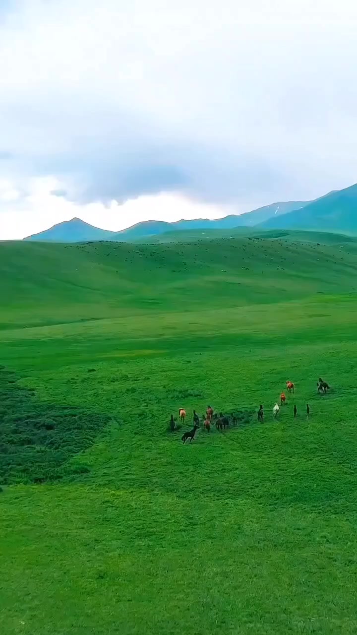 @Lionghoaho