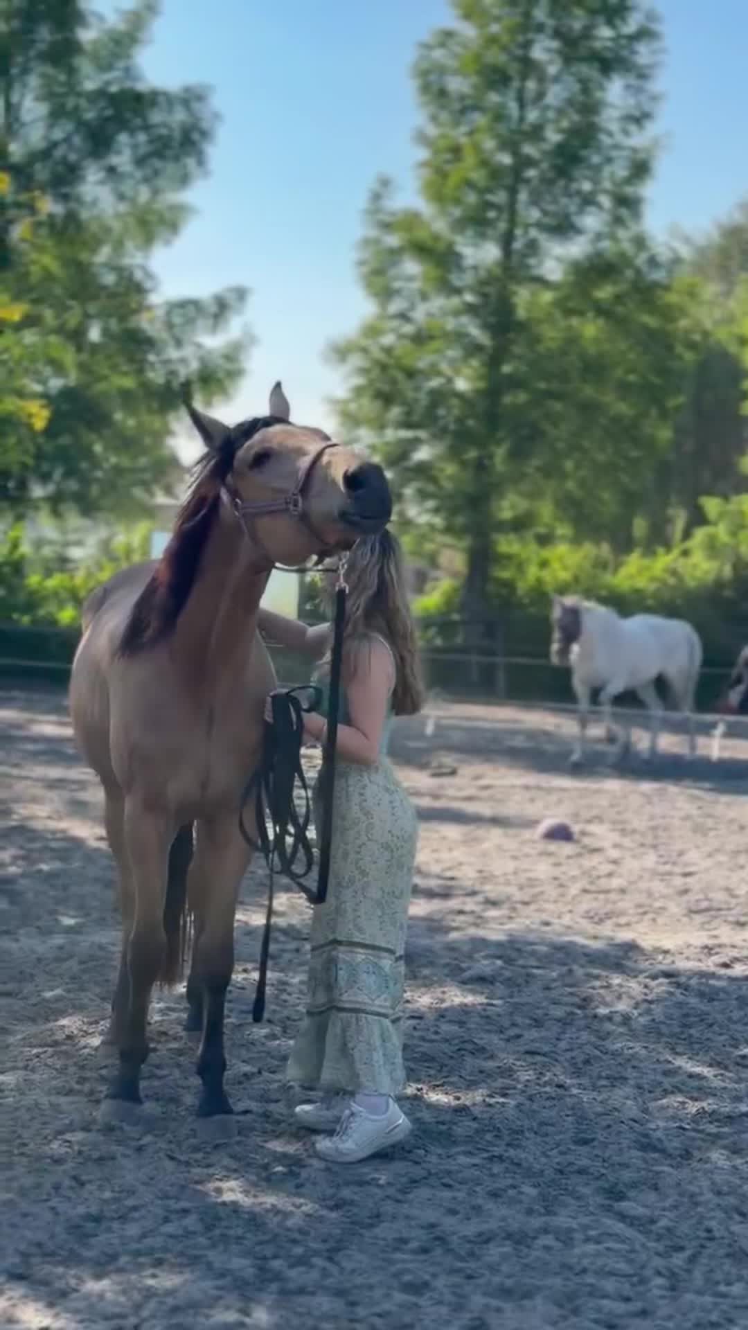 @Aukje🌱