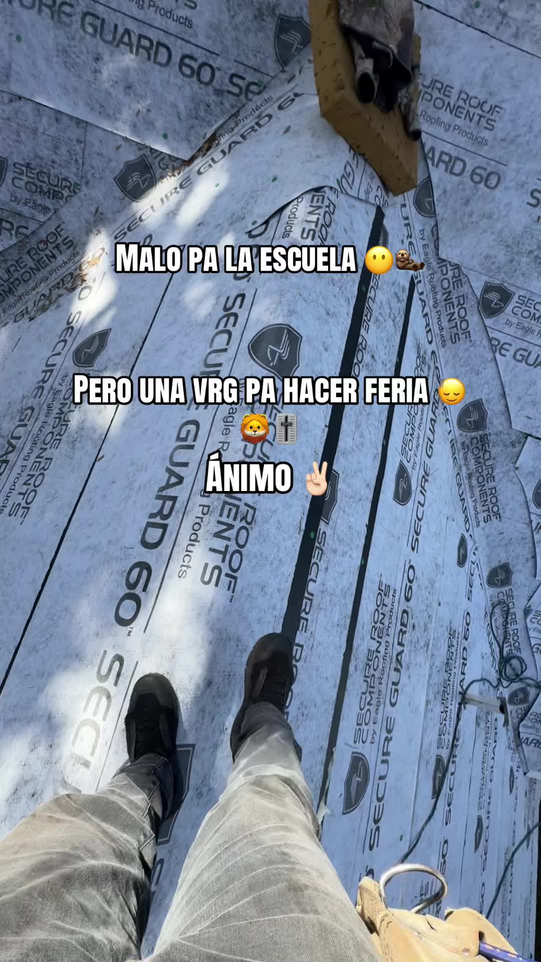 @alex_montejo05