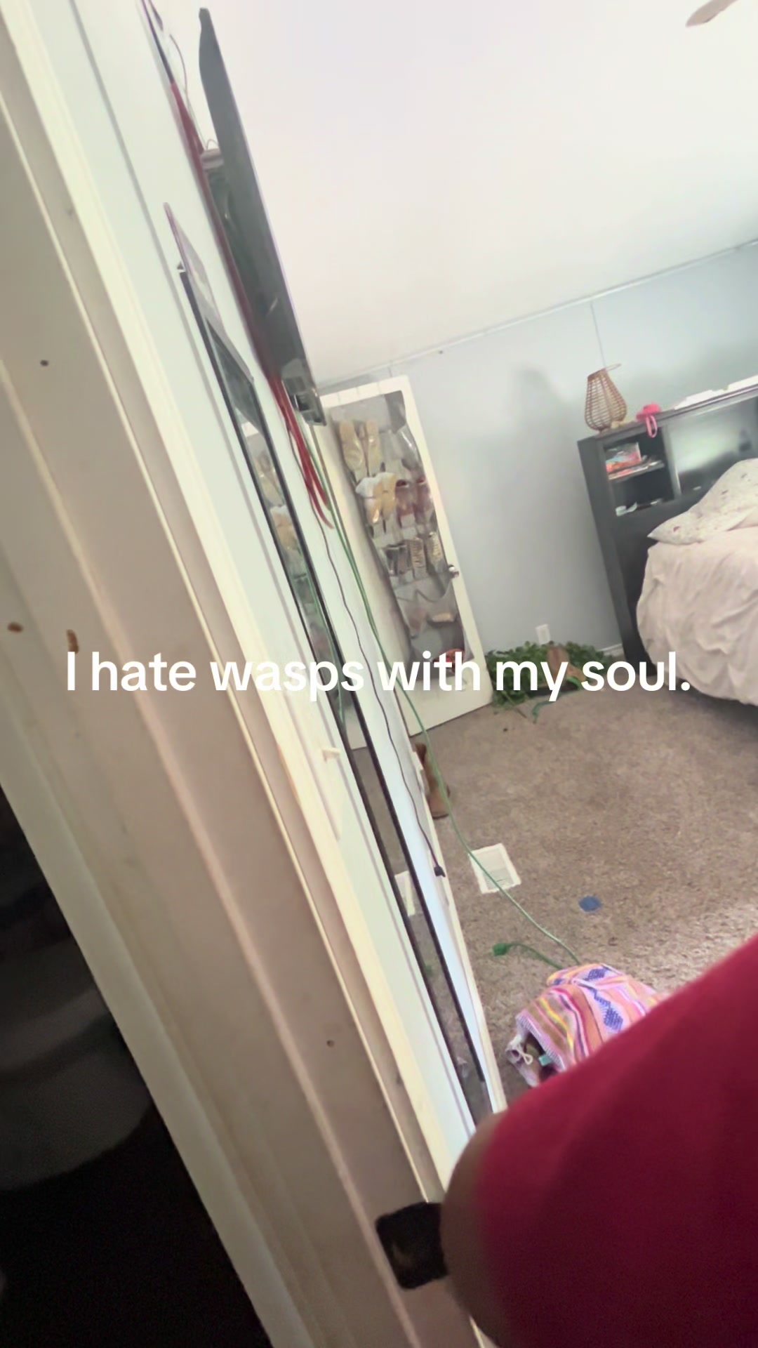 @D-DOUBLEFEDORA!?😛