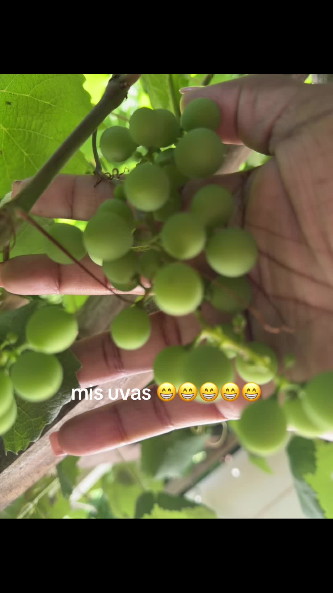 @Margarita Valdez