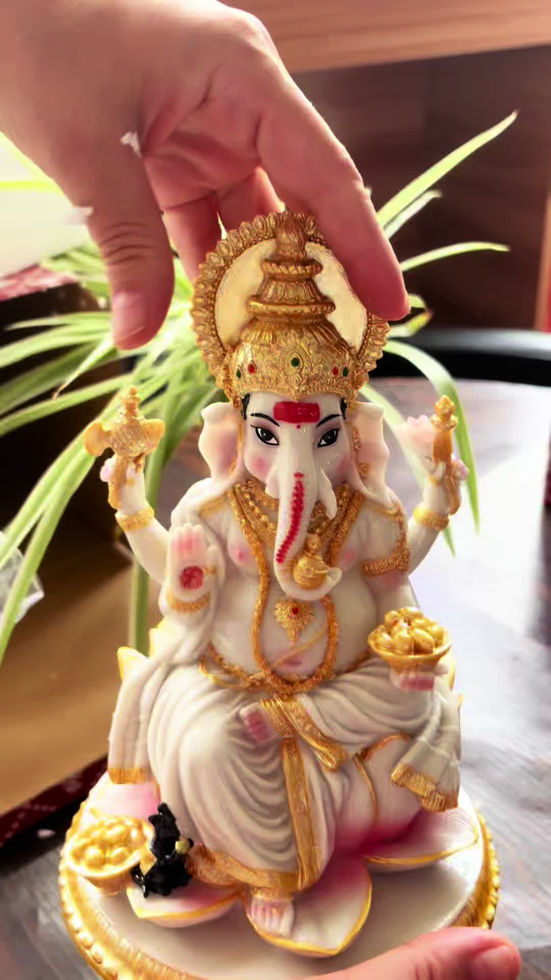 @Alikiki Murtis