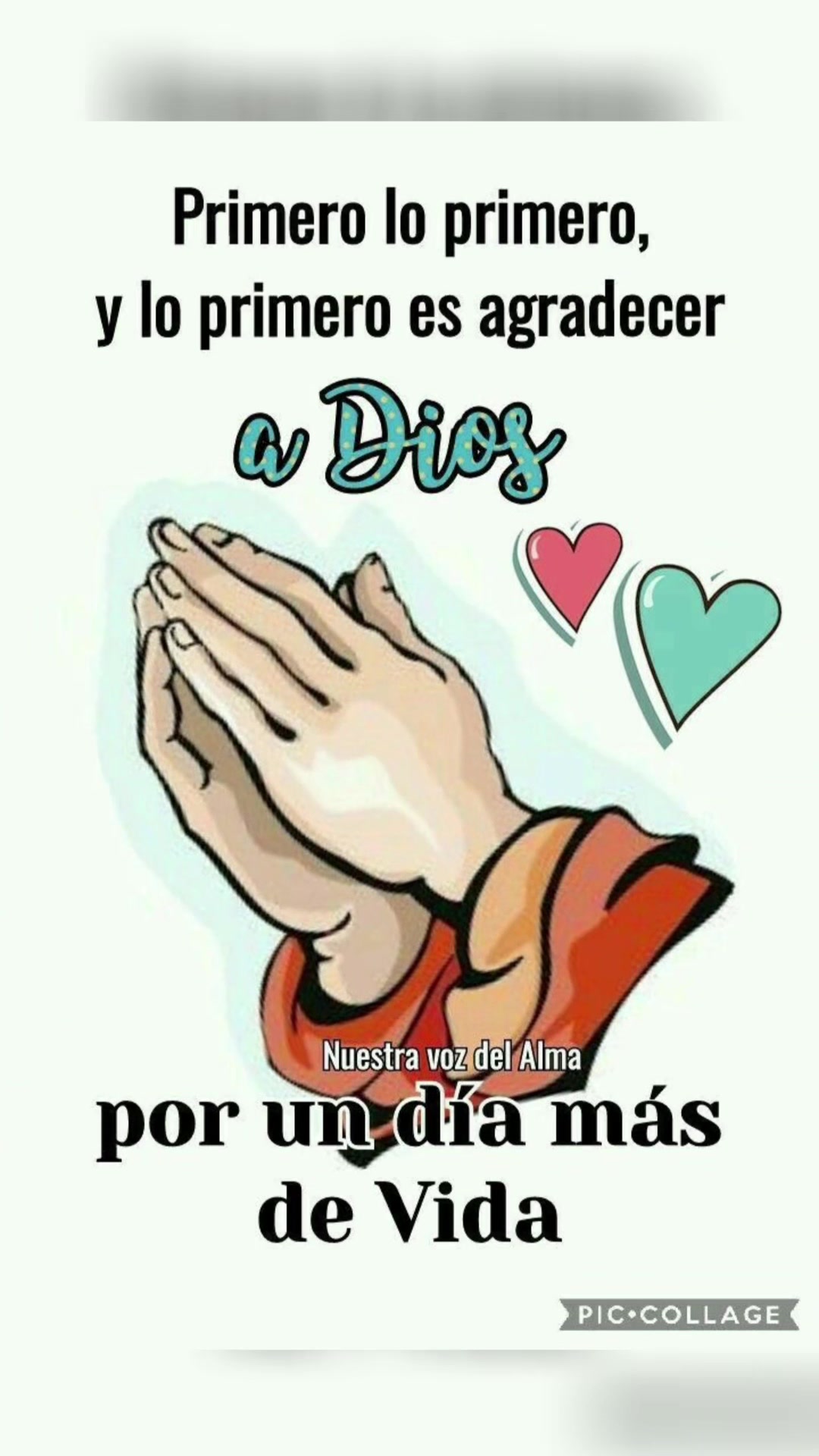 @elvirasvg