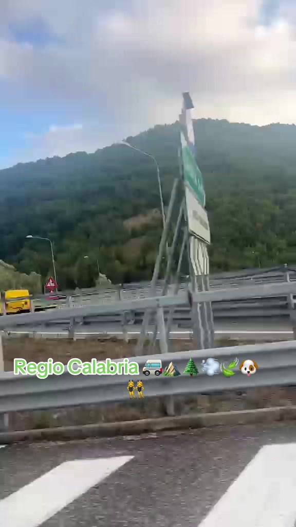 @la Bombona SV 🇸🇻 ⚔️👸🏼💚🐱