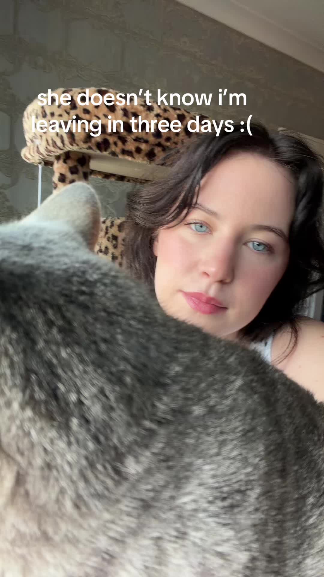 @pey 🐈&zwj;⬛