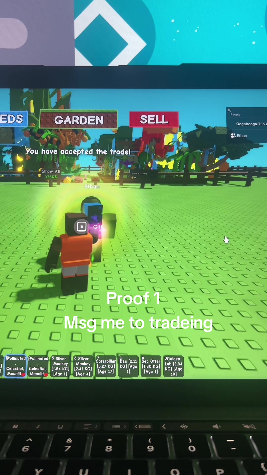 @Oogabooga