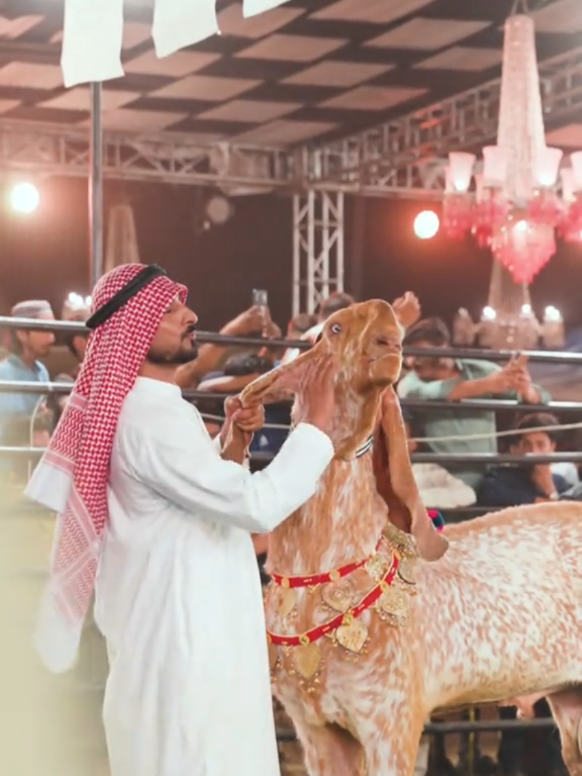 @《SIDHU}{GOAT}{FARM》