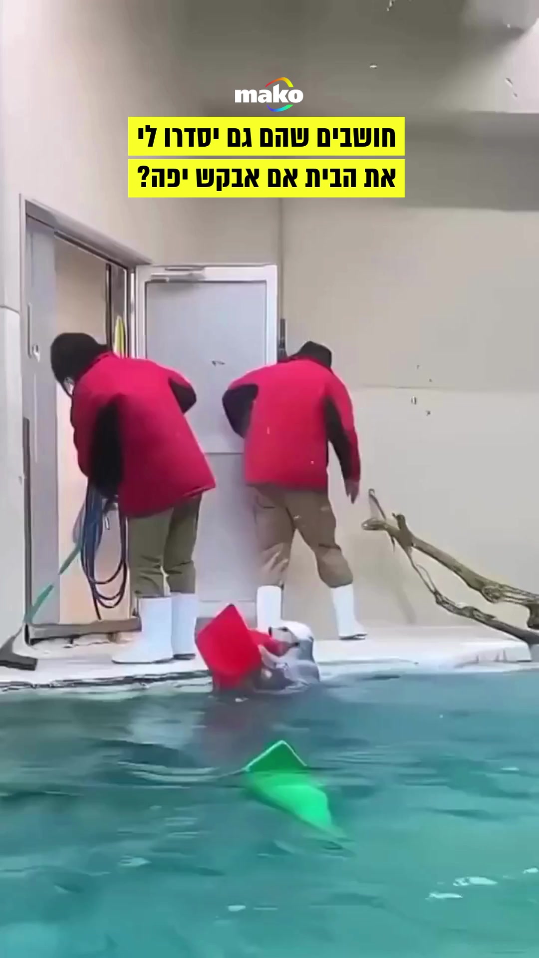 @mako