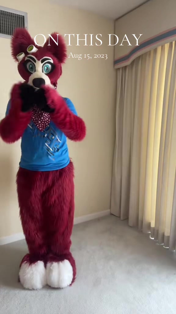 @🦊 Pete The Fox 🦊