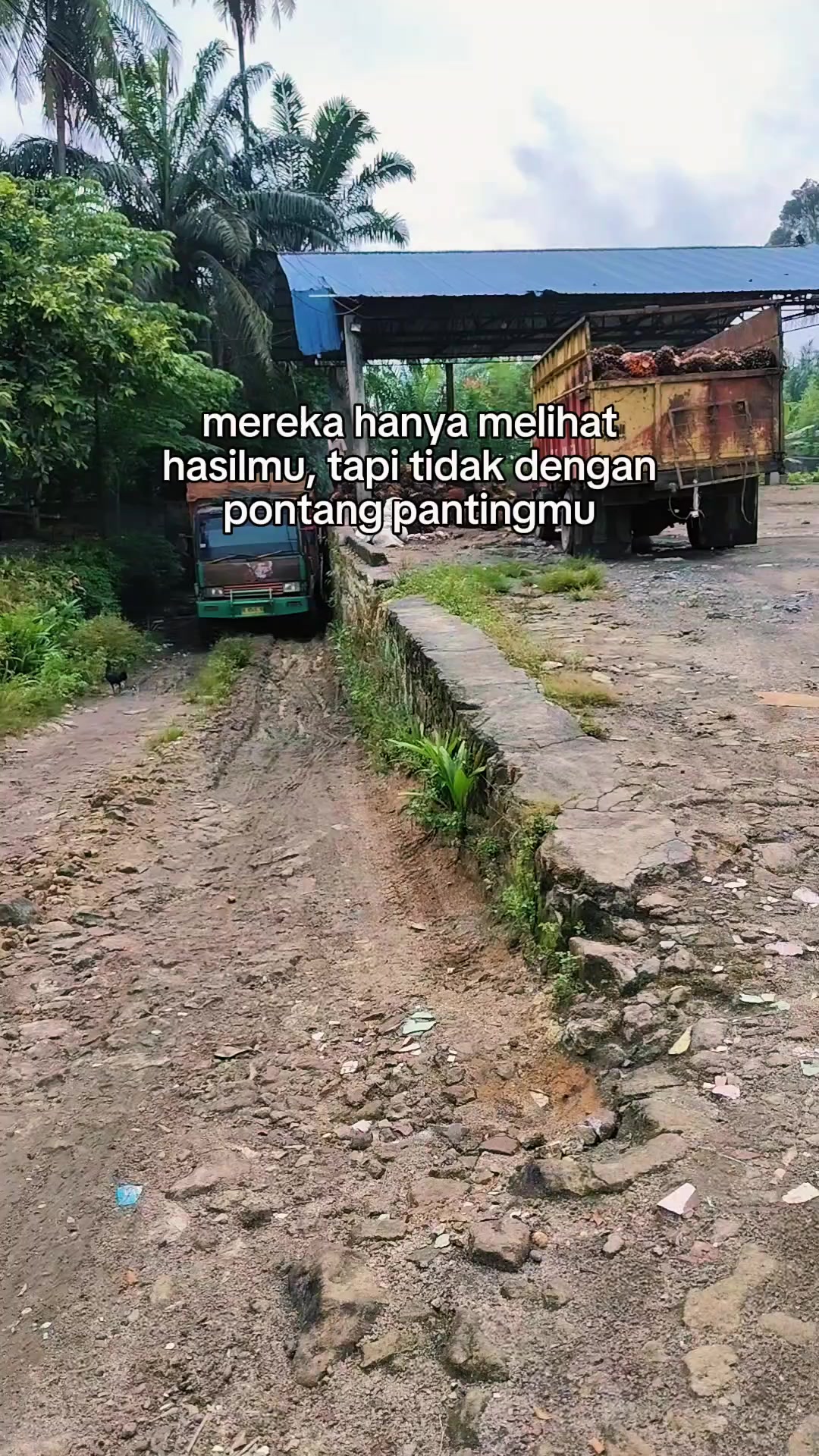 @Wa_one11