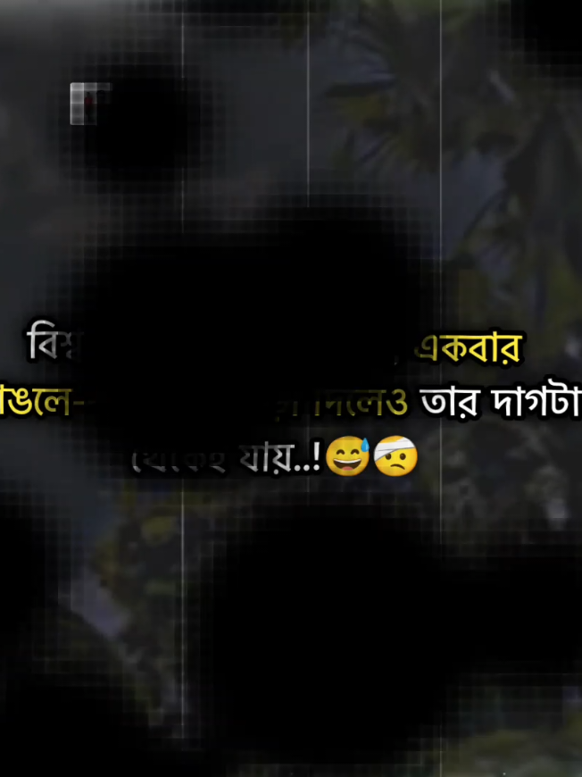 @═❥⋆⃝১৭পৃষ্ঠা⎯͢⎯⃝༒&reg;