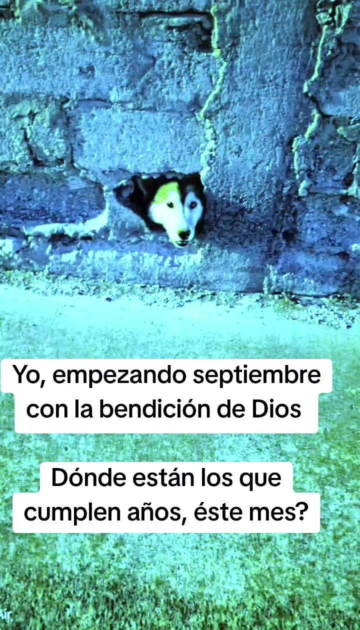 @Nancy