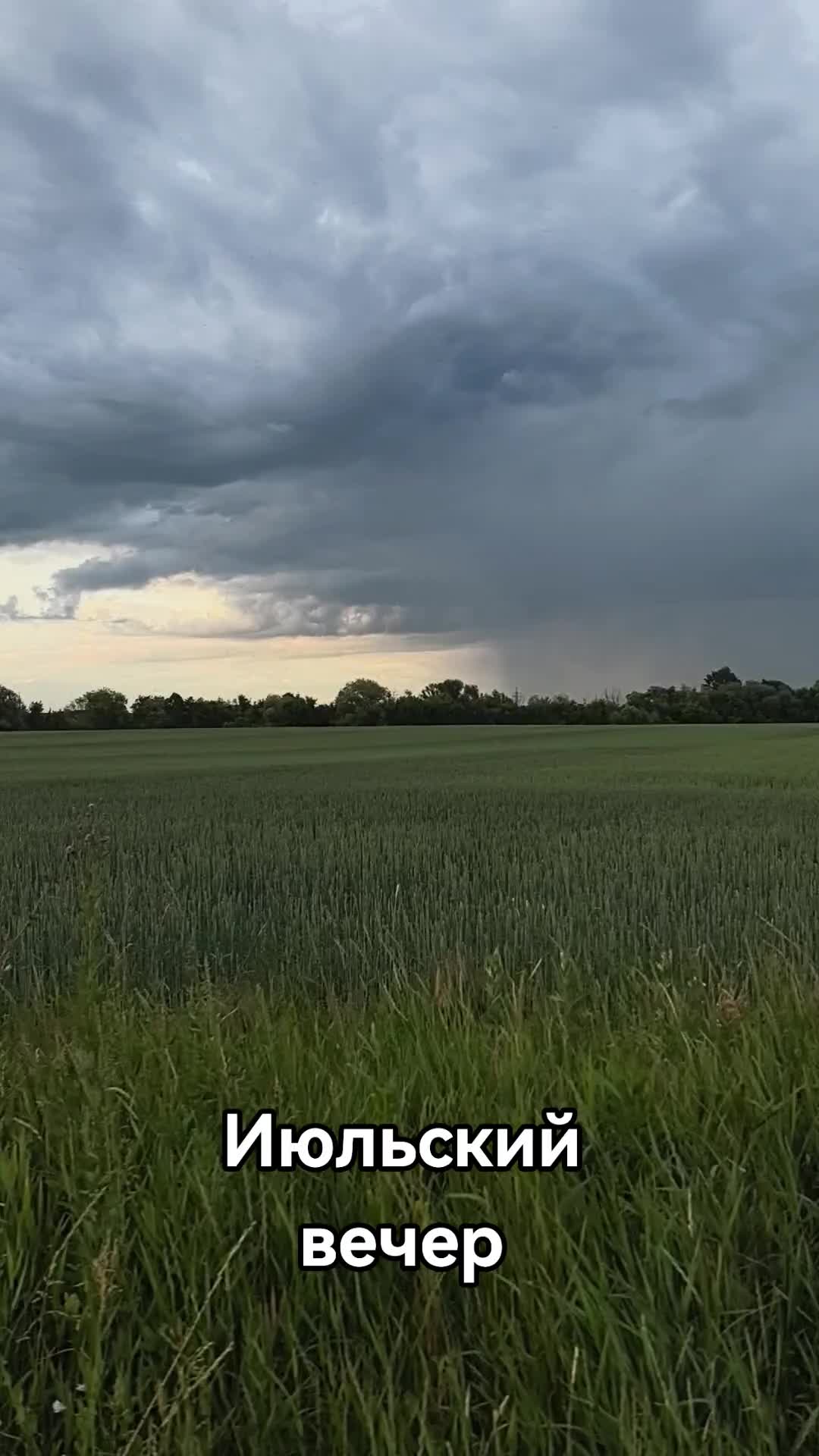 @Жулик на даче