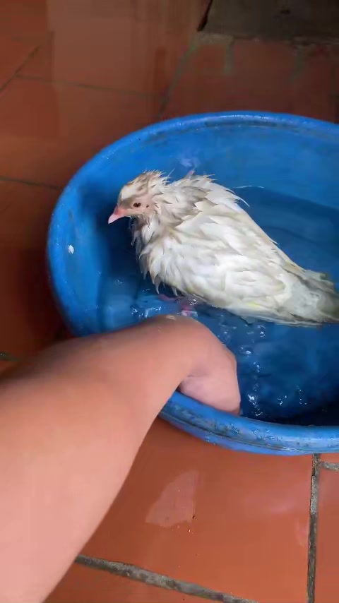 @1Cuộc Đời Bình Yên-Bình Thường