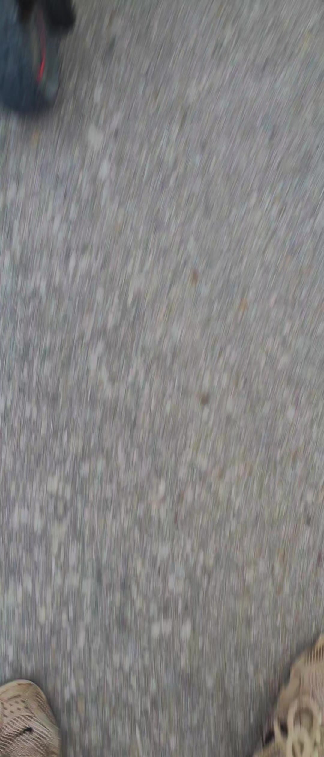 @Лейс