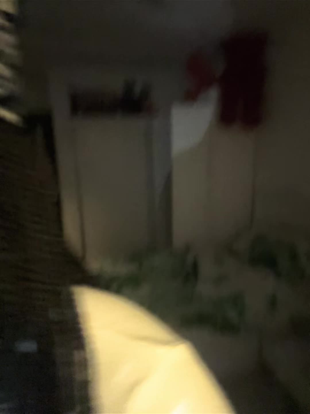 @AYLIIN