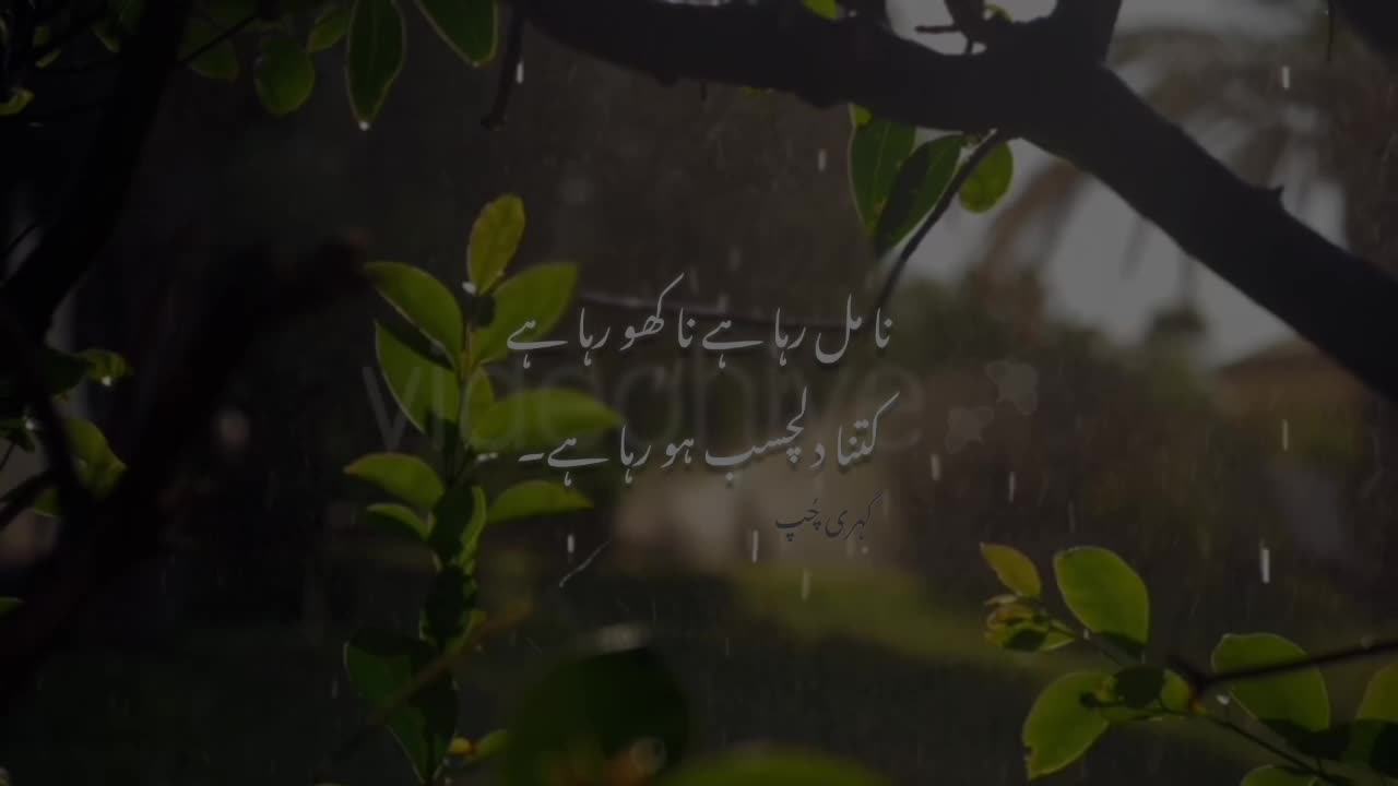 @گہری چُپ 🕷