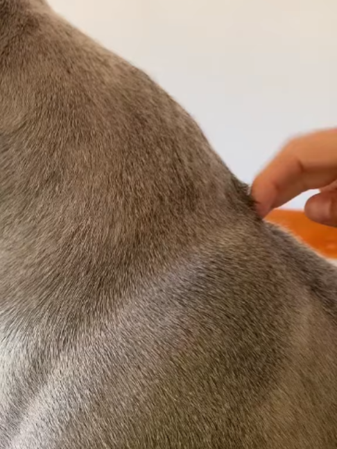 @uxifnfsiyyn