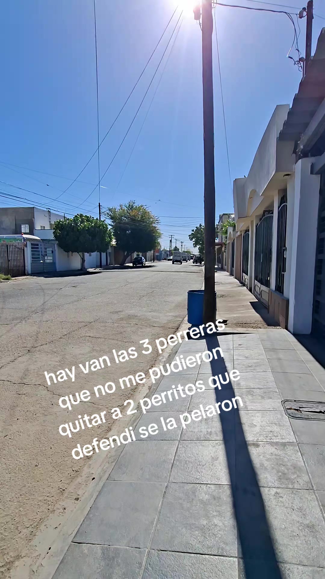 @Isabel Hernández
