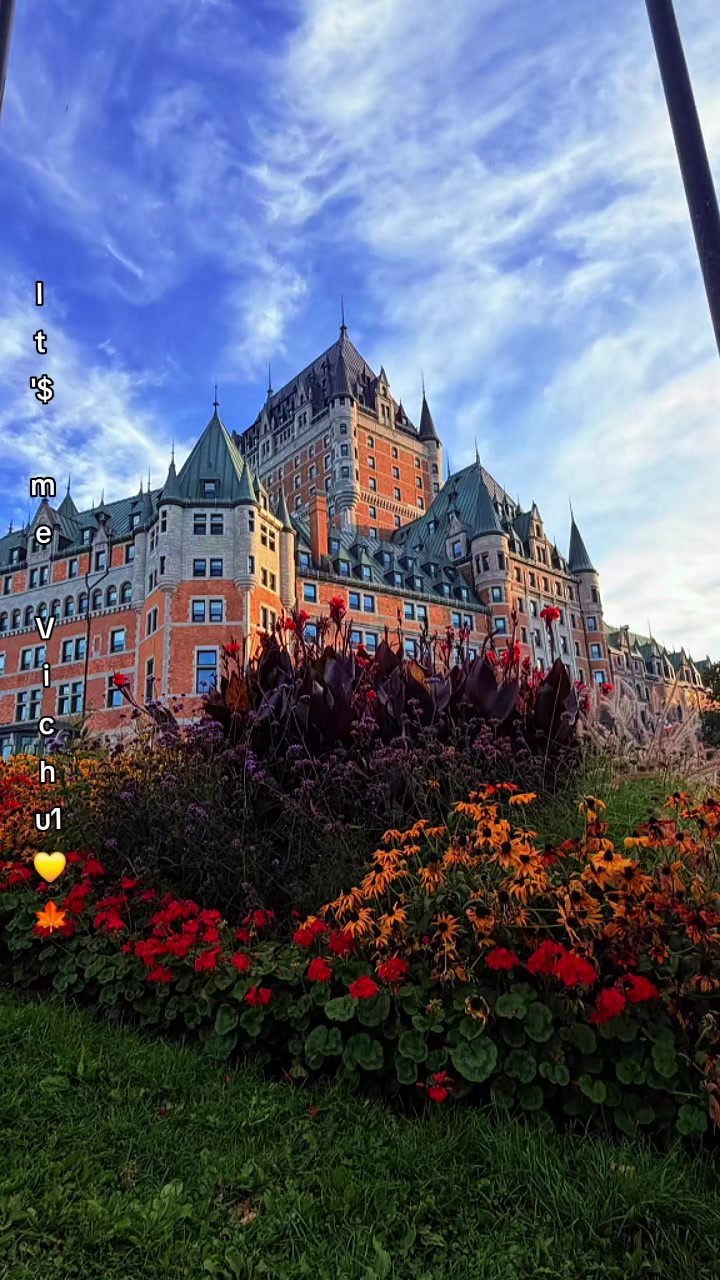 @✦  V I C H U 🇨🇦  ✦