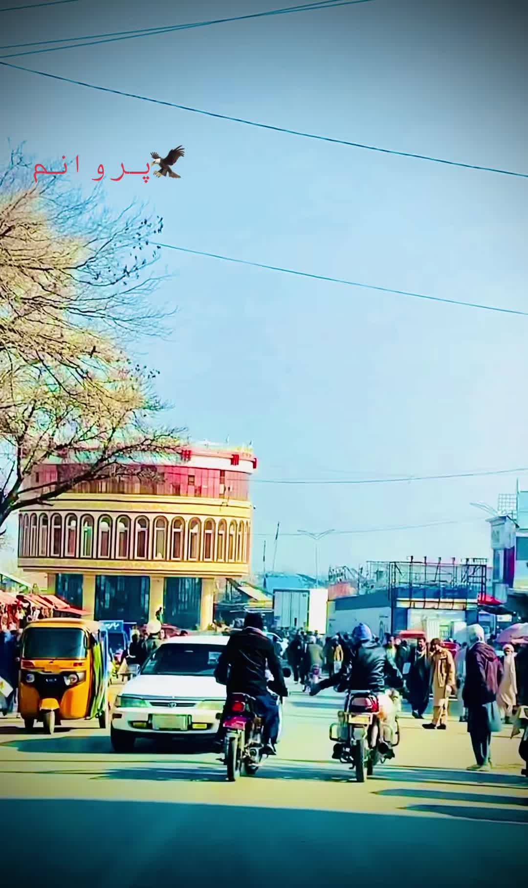 @Parwani🇺🇸