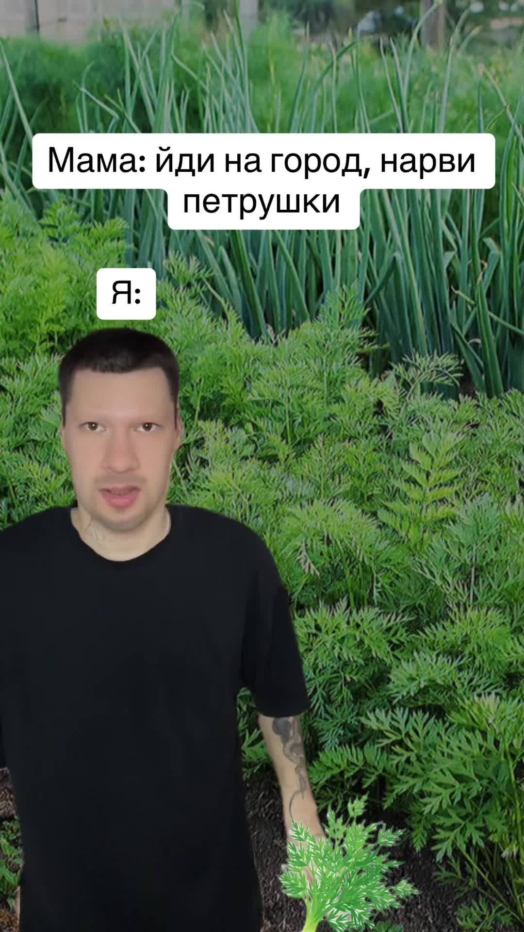 @Taras Kovtun