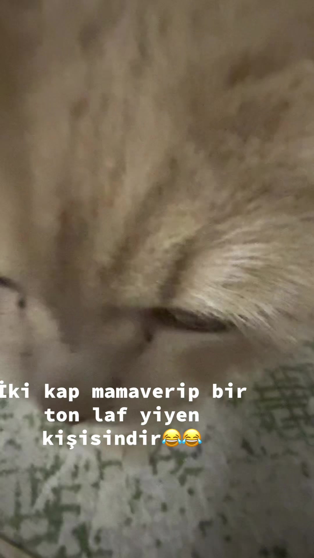 @🖤