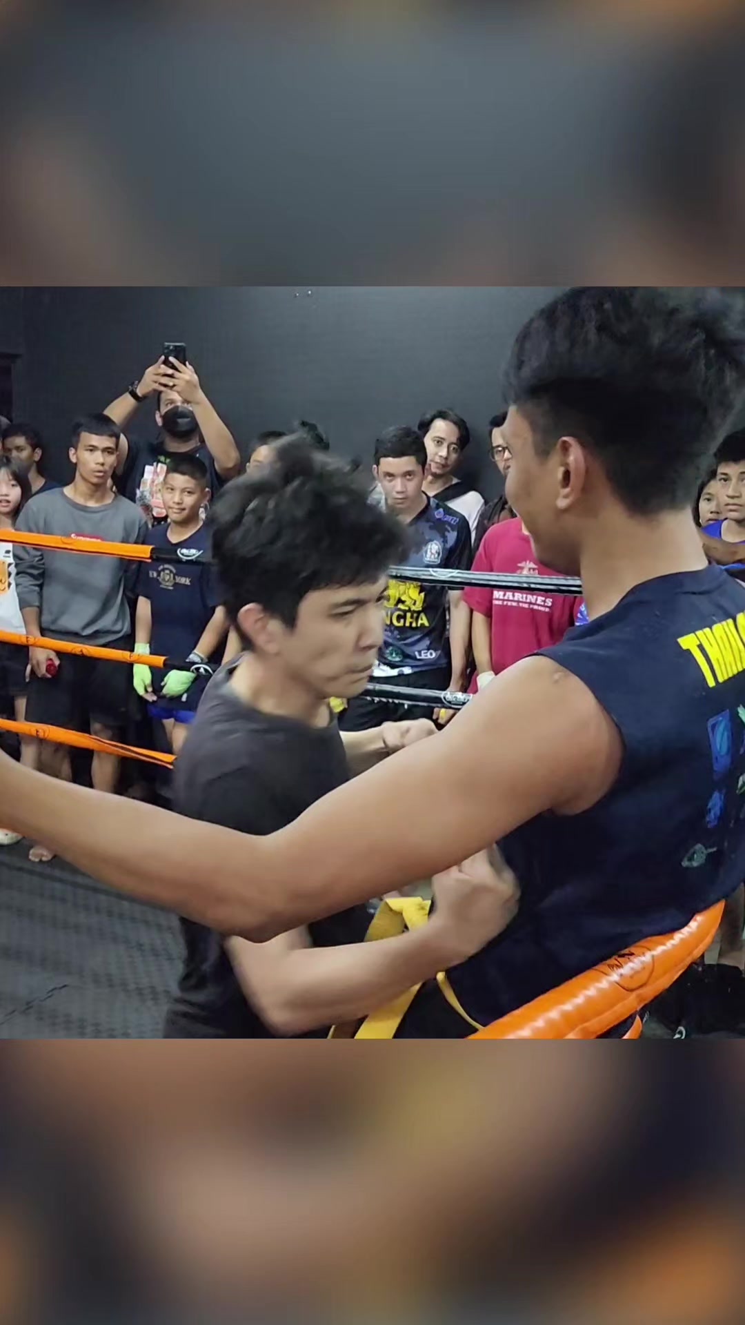 @Mr.Fight