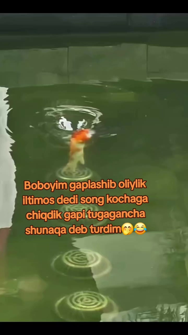 @Kulochok Oyi