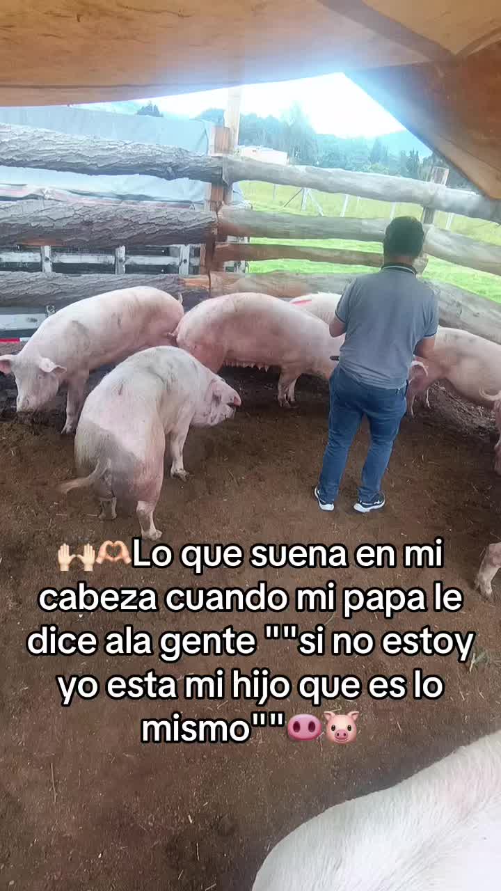 @Daniel sotelo 🇨🇴