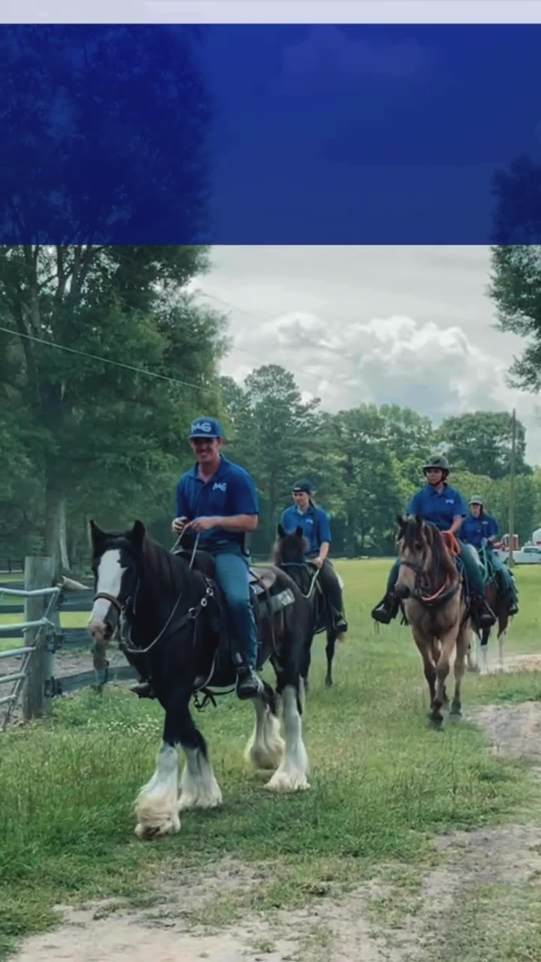 @Horse Help